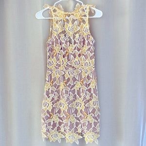 Revolve dress from the brand NBD